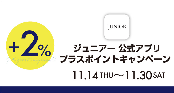 【ミゼール】11月7日更新！PRICE DOWN