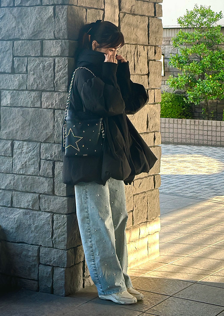 Ambassador Snap 83106504