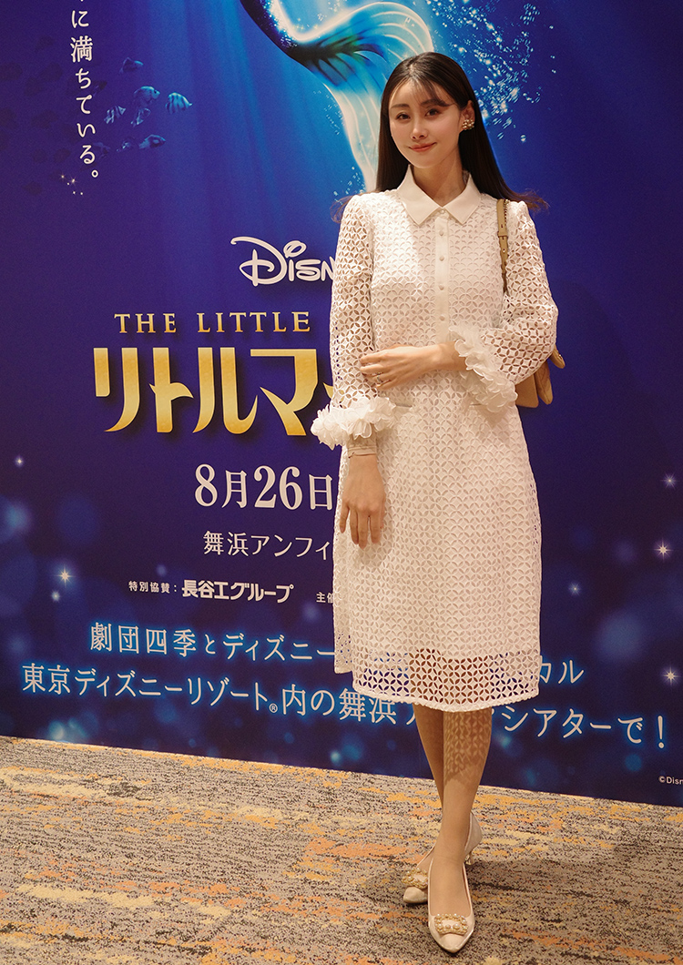 Ambassador Snap 830012601